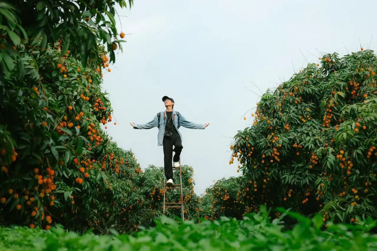 软件开发与小程序定制对比：企业如何选择适合自身业务的技术服务模式