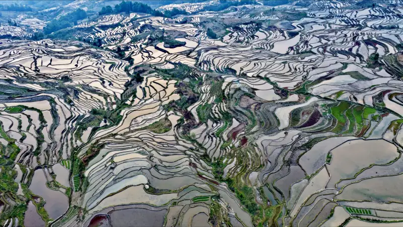 三亚旅游企业小程序开发:如何选择适合自身业务的技术方案