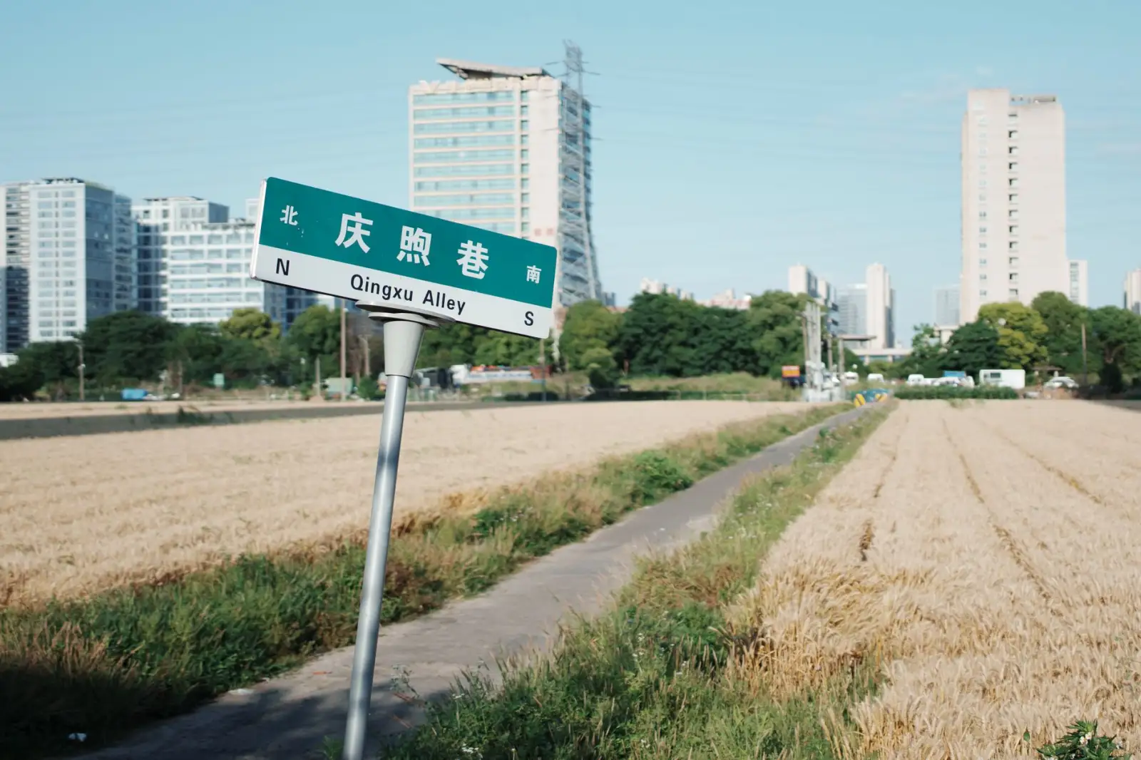 2025年三亚企业数字化升级：软件开发与小程序应用趋势分析