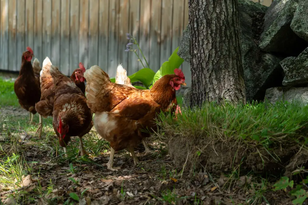 2024年三亚企业级软件开发成本构成与报价参考