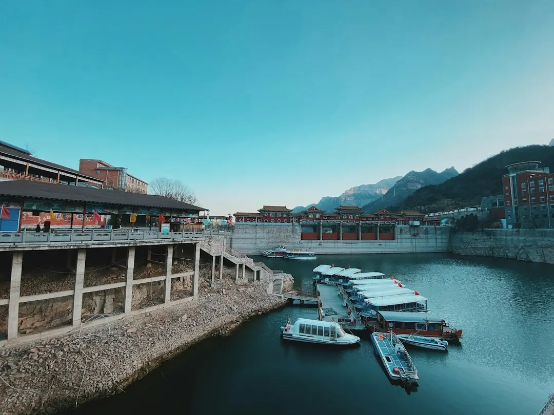 2025年软件开发行业技术趋势与三亚本地化应用前景